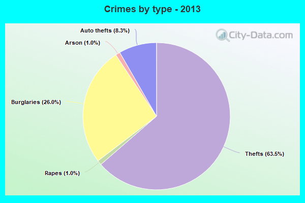 Crimes by type - 2013