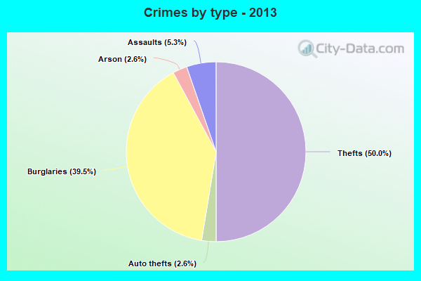 Crimes by type - 2013