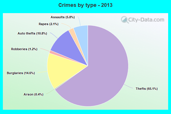 Crimes by type - 2013