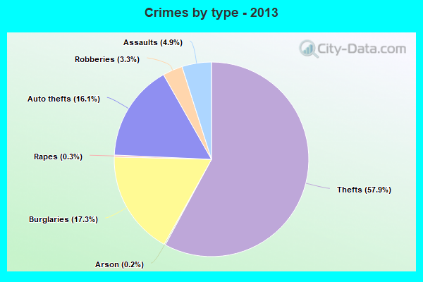 Crimes by type - 2013