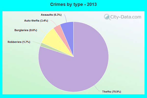 Crimes by type - 2013