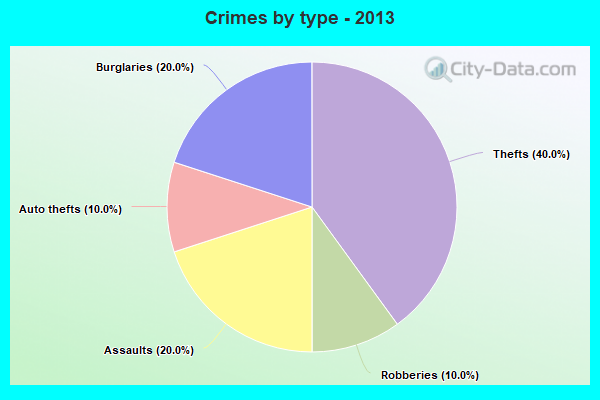 Crimes by type - 2013