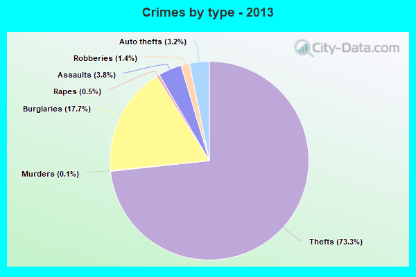 Crimes by type - 2013