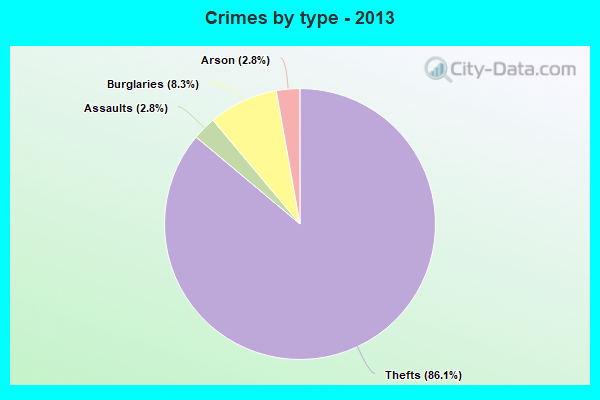 Crimes by type - 2013