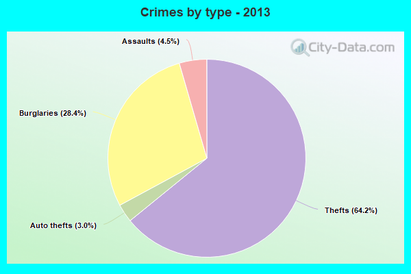 Crimes by type - 2013