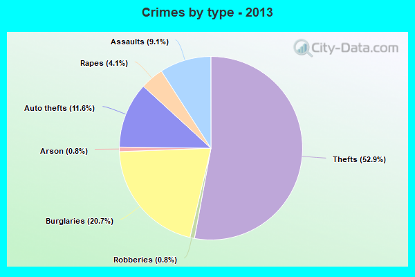 Crimes by type - 2013