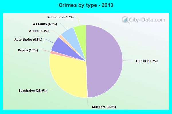 Crimes by type - 2013