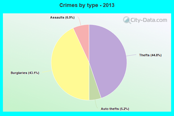 Crimes by type - 2013