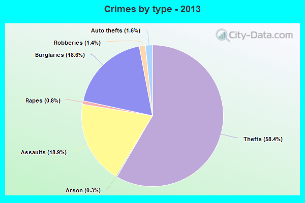 Crimes by type - 2013