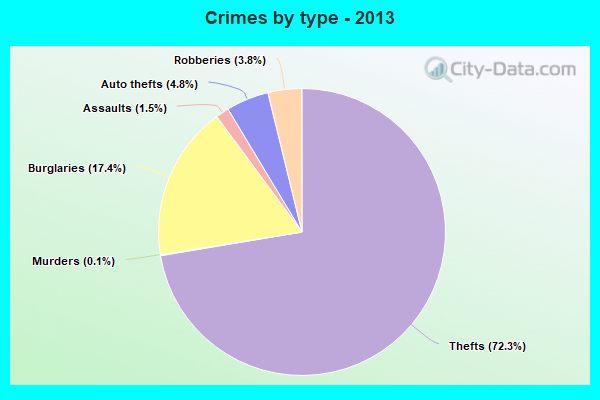 Crimes by type - 2013