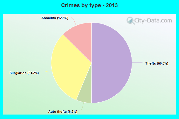 Crimes by type - 2013