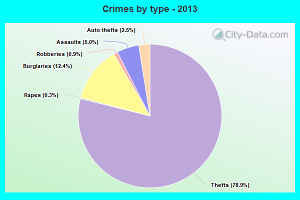 Crimes by type - 2013