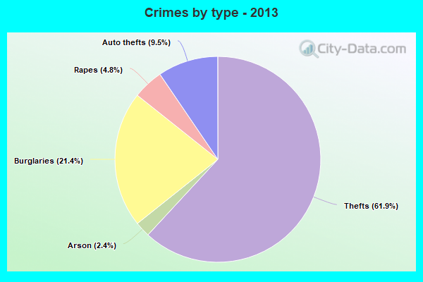 Crimes by type - 2013