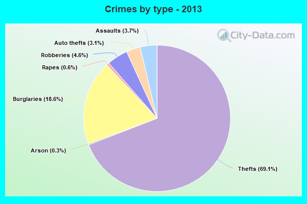 Crimes by type - 2013