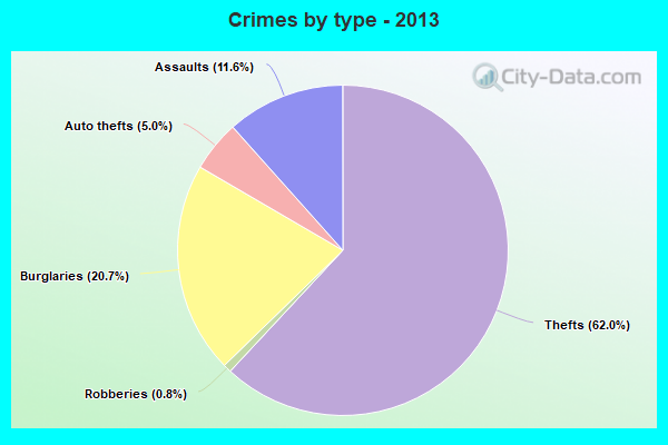 Crimes by type - 2013