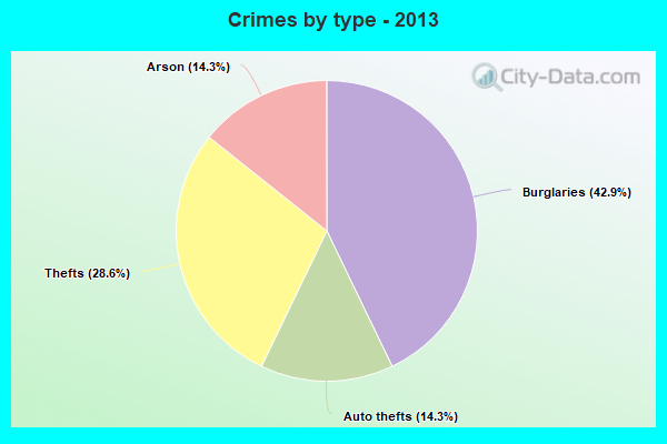 Crimes by type - 2013