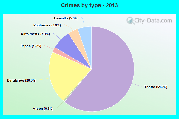 Crimes by type - 2013