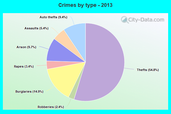 Crimes by type - 2013