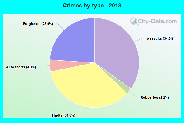 Crimes by type - 2013