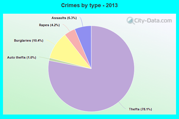 Crimes by type - 2013