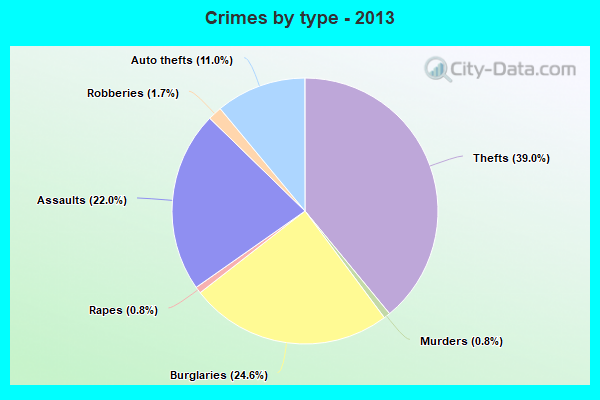 Crimes by type - 2013