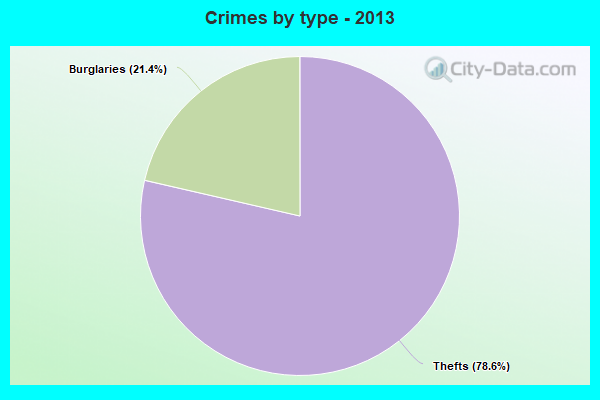 Crimes by type - 2013