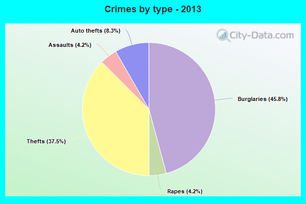 Crimes by type - 2013