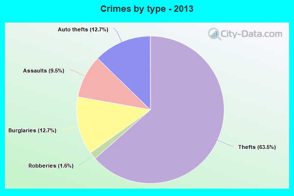 Crimes by type - 2013