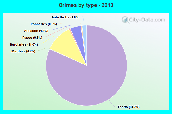 Crimes by type - 2013