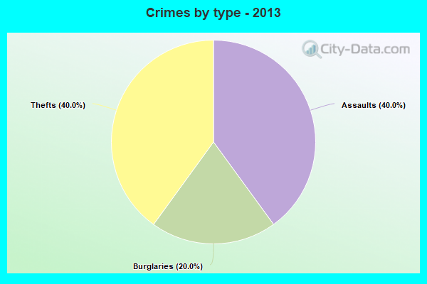 Crimes by type - 2013