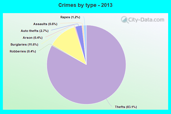 Crimes by type - 2013