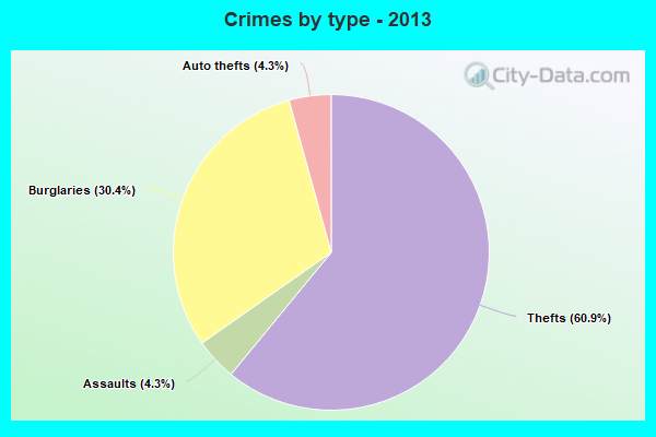 Crimes by type - 2013