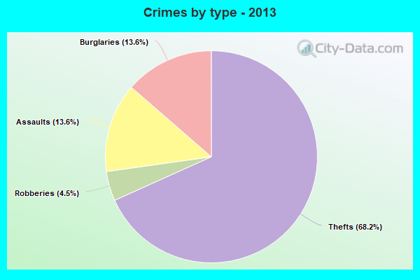 Crimes by type - 2013