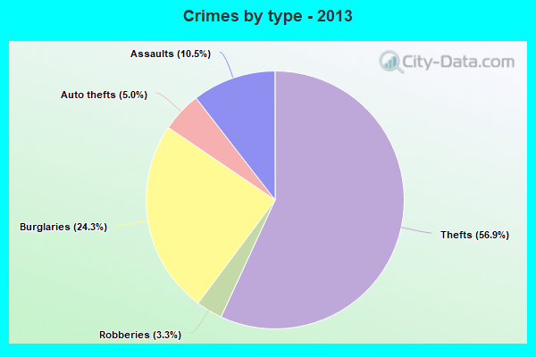 Crimes by type - 2013