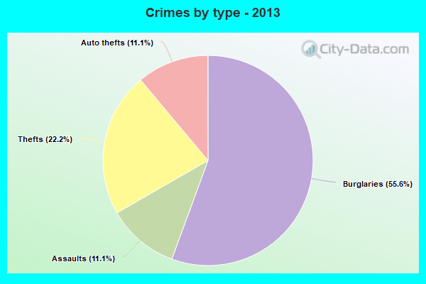 Crimes by type - 2013