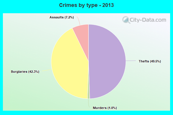 Crimes by type - 2013