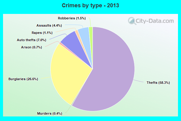 Crimes by type - 2013