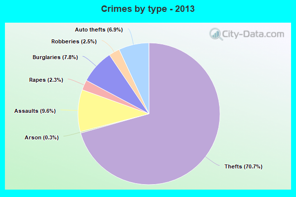 Crimes by type - 2013