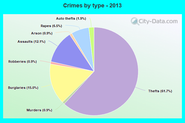 Crimes by type - 2013