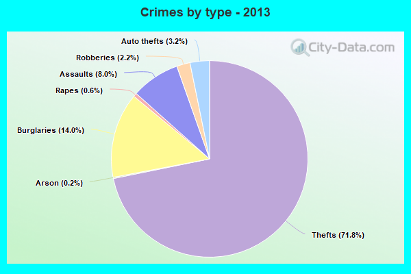 Crimes by type - 2013