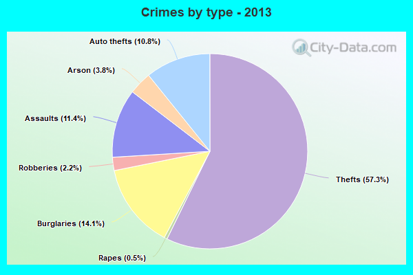 Crimes by type - 2013