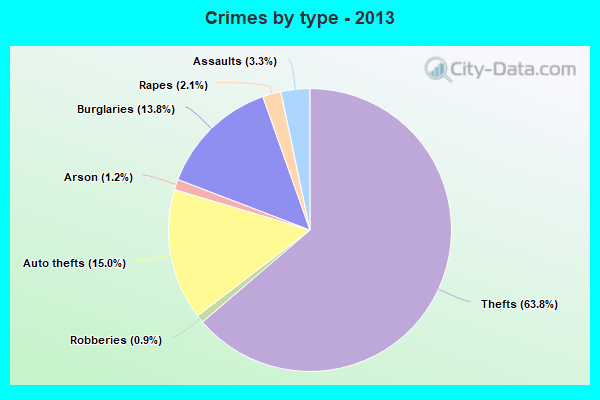 Crimes by type - 2013