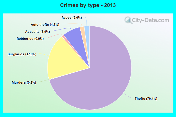 Crimes by type - 2013