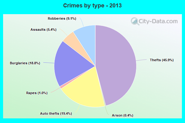 Crimes by type - 2013