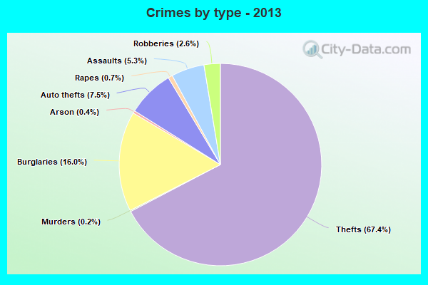 Crimes by type - 2013