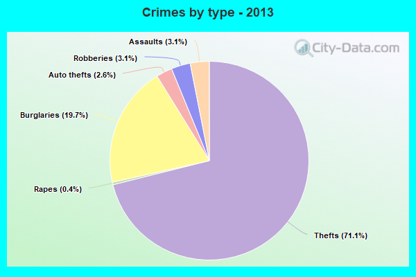 Crimes by type - 2013