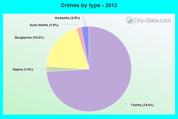 Crimes by type - 2013