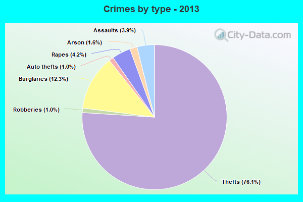 Crimes by type - 2013