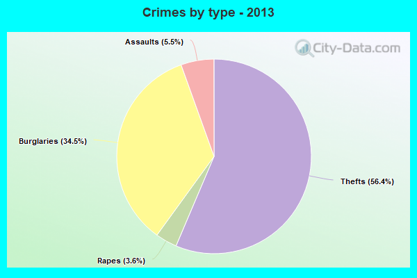 Crimes by type - 2013