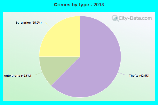 Crimes by type - 2013